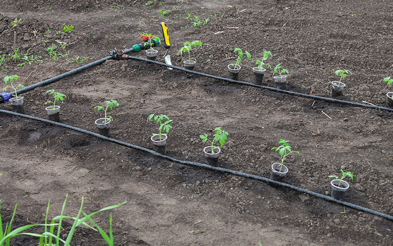 irrigation systems in Dubai